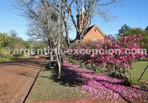 1-3 Labyrinthe Végétal de Montecarlo, province de Misiones
