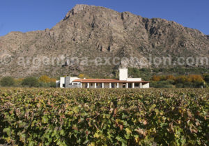 Hotel Cafayate Wine Resort Hotel Cafayate Wine Resort