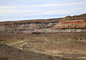 1-bosque-petrificado-sarmiento Forêt Pétrifiée de Sarmiento