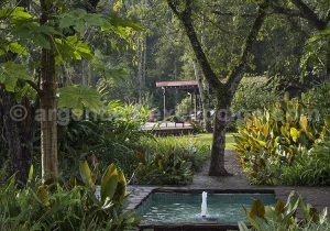 Jardin, Puerto Bemberg Jardin, Puerto Bemberg