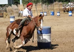 Courses de chevaux criollos Courses de chevaux criollos