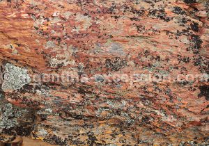 10-bosque-petrificado-sarmiento Forêt Pétrifiée de Sarmiento