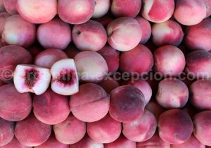 Marché artisanal de Puerto de Frutos à Tigre