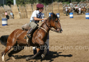 Courses de chevaux criollos, La Rural Courses de chevaux criollos, La Rural
