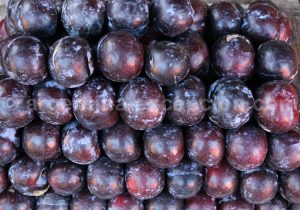 Marché artisanal de Puerto de Frutos à Tigre