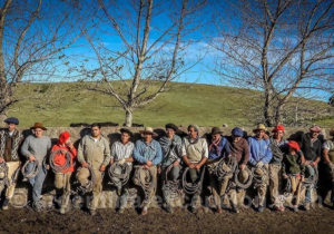 Los Potretos Los Potretos