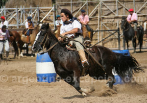 Courses de chevaux criollos, Argentine Courses de chevaux criollos, Argentine