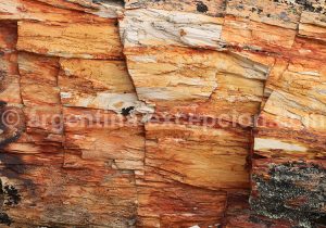 12-bosque-petrificado-sarmiento Forêt Pétrifiée de Sarmiento