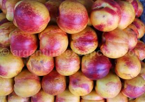 Marché artisanal de Puerto de Frutos à Tigre