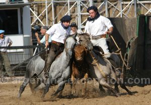 Le travail des gauchos, La Rural Le travail des gauchos, La Rural