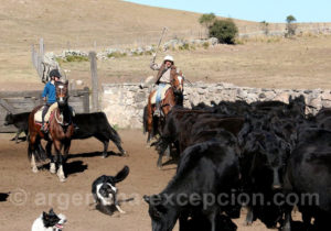 Los Potretos Los Potretos