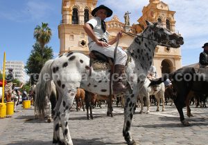 14 Pèlerinage Brochero, Cordoba