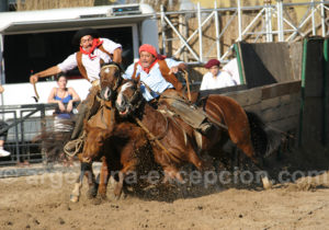 Feria Nuestros caballos, Palermo Feria Nuestros caballos, Palermo