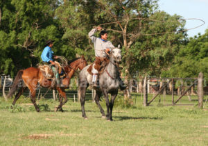 Maniement du lasso, Estancia Buena Vista