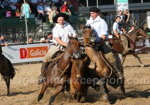 Salon du cheval, Palermo, La Rural Salon du cheval, Palermo, La Rural