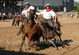 Salon du cheval, Palermo, Argentine Salon du cheval, Palermo, Argentine