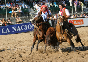 Feria Nuestros caballos, Buenos Aires Feria Nuestros caballos, Buenos Aires