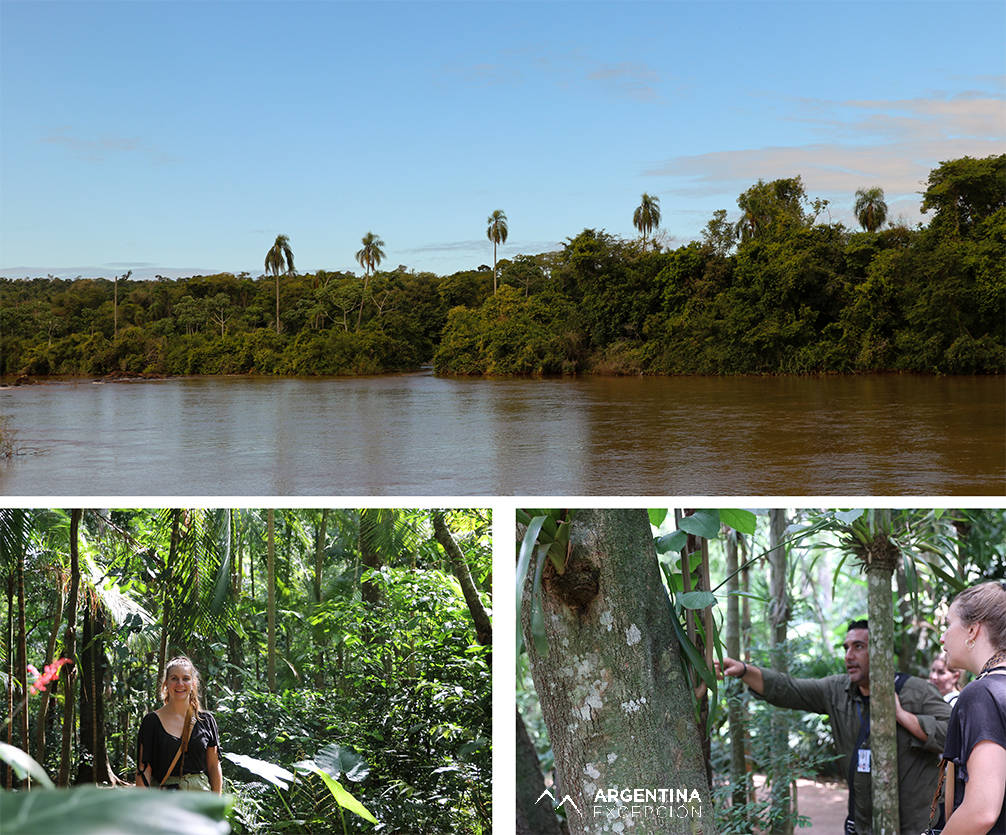 Parc national Iguazú Parc national Iguazú