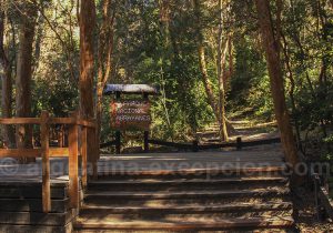 Entrée du Parc Los Arrayanes