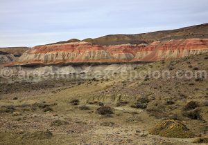 2-bosque-petrificado-sarmiento Forêt Pétrifiée de Sarmiento