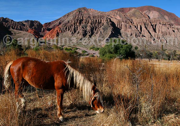 Comment se rendre à Tilcara Comment se rendre à Tilcara