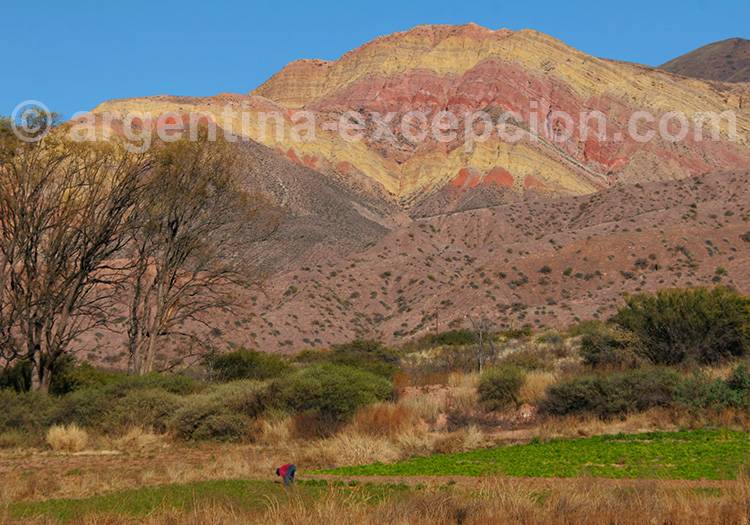 Que voir dans les environs de Tilcara Que voir dans les environs de Tilcara