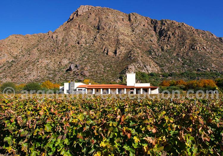 Paysages des vallées Calchaquíes Paysages des vallées Calchaquíes