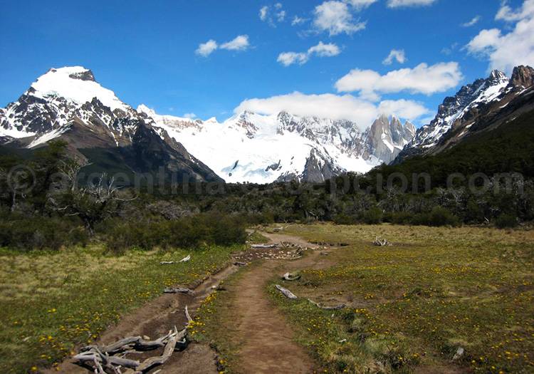 Trekking sentier Laguna Torre Trekking sentier Laguna Torre