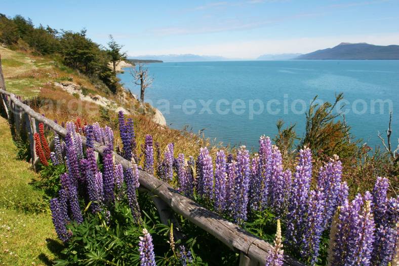 Lac Fargnano, Patagonie Lac Fargnano, Patagonie