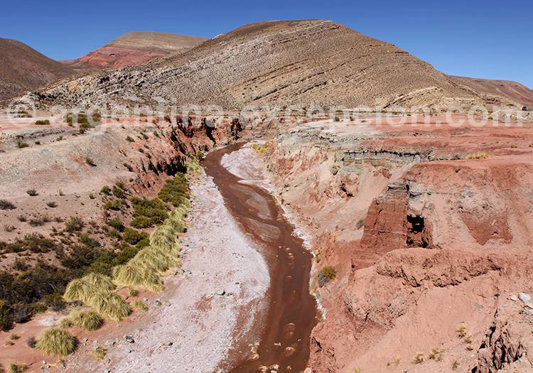 Azul Pampa, Argentine Azul Pampa, Argentine