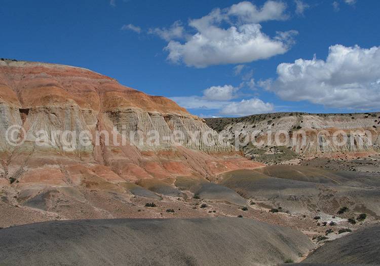 Bosque de Sarmiento, route 40 Bosque de Sarmiento, route 40