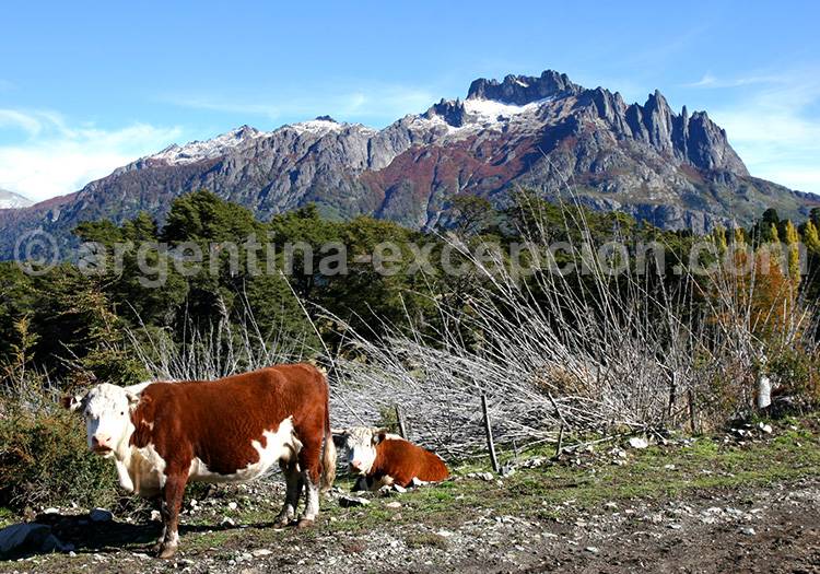 Cerro Los Angeles, Patagonie Cerro Los Angeles, Patagonie