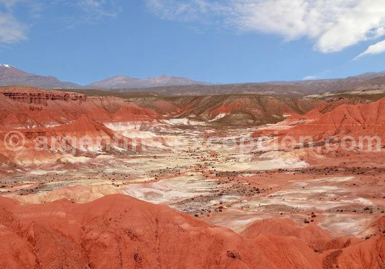 Cusi Cusi, altiplano de Jujuy Cusi Cusi, altiplano de Jujuy