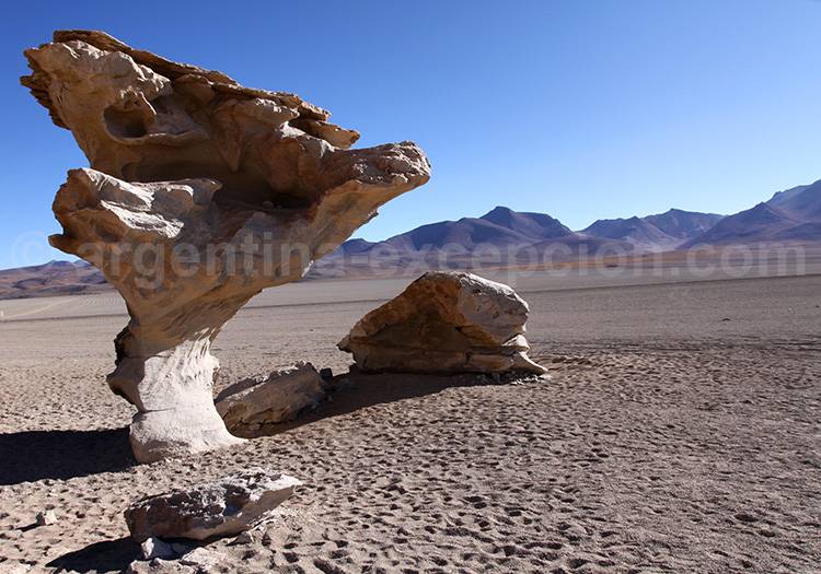 Arbol de Piedra, désert de Siloli Arbol de Piedra, désert de Siloli