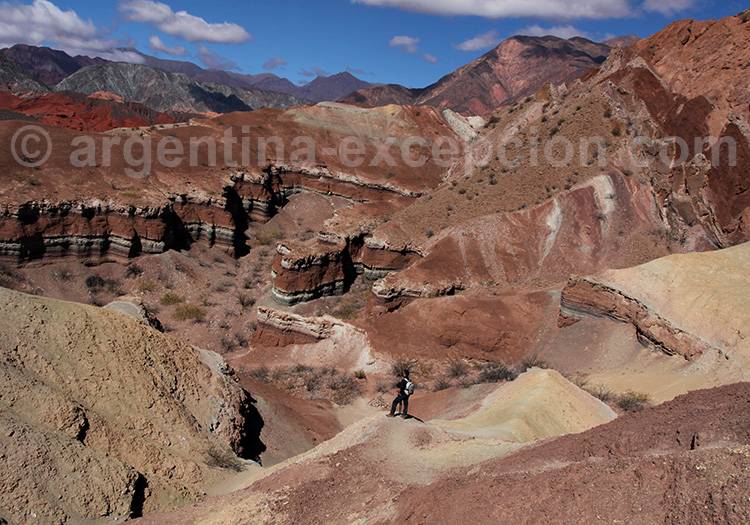 La Yesera, Quebrada de las Conchas La Yesera, Quebrada de las Conchas