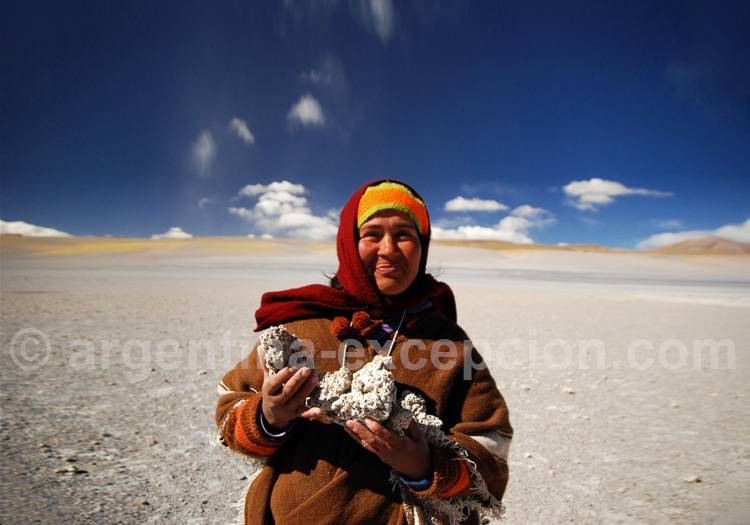 Rencontre à la Laguna Blanca, Catamarca Rencontre à la Laguna Blanca, Catamarca
