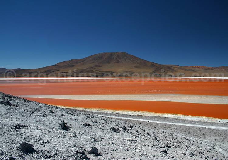 Laguna Colorada, Bolivie - Crédit Jacques Vaysse Laguna Colorada, Bolivie - Crédit Jacques Vaysse