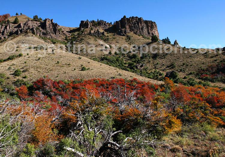 Paso de Córdoba, Neuquén, Patagonie Paso de Córdoba, Neuquén, Patagonie