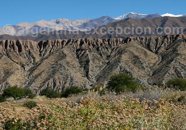 Route de Cachi à Payogasta Route de Cachi à Payogasta