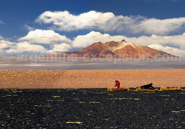 Salar de Tara, frontière Chili, Bolivie et Argentine Salar de Tara, frontière Chili, Bolivie et Argentine