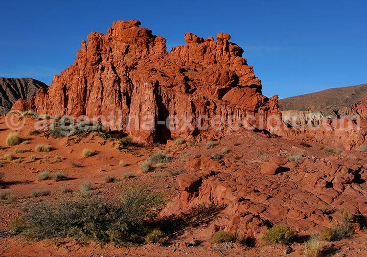 Las Señoritas, Uquia Las Señoritas, Uquia