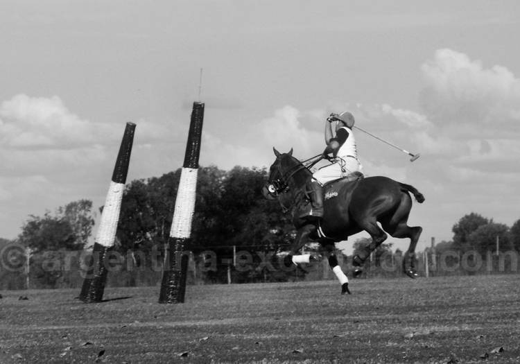 Histoire du polo argentin Histoire du polo argentin
