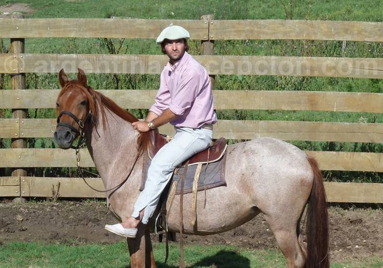 Gaucho à l'estancia Los Potreros Gaucho à l'estancia Los Potreros