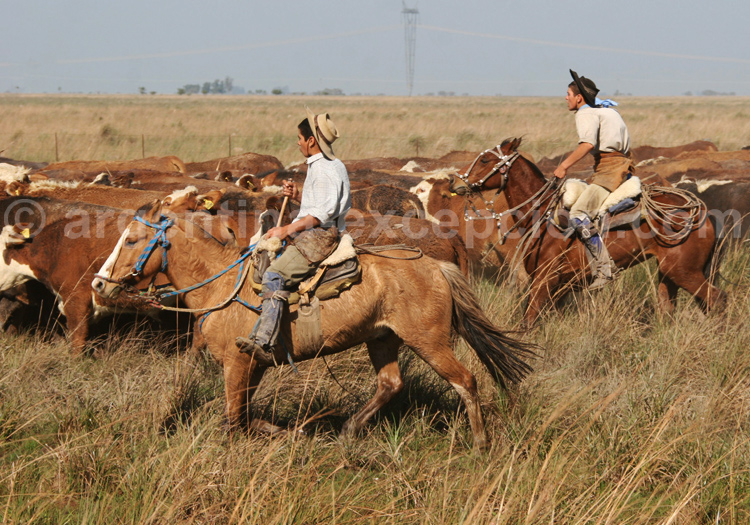 Gauchos à l'estancia Rincón del Socorro Gauchos à l'estancia Rincón del Socorro