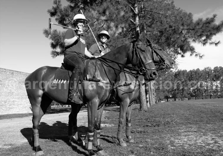 Histoire du polo Histoire du polo