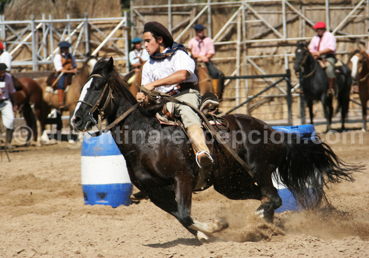 Nuestros Caballos, fête du cheval, Buenos Aires Nuestros Caballos, fête du cheval, Buenos Aires