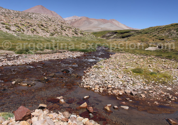 Ruisseau El Yaucha, parc Laguna Diamante Ruisseau El Yaucha, parc Laguna Diamante