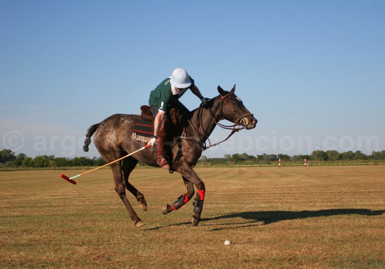 Joueur de polo Joueur de polo