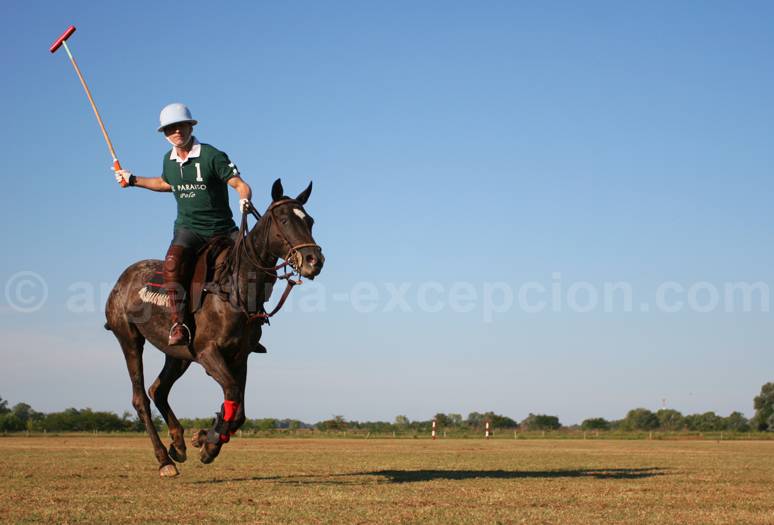 Sticks & balls, apprentissage du polo Sticks & balls, apprentissage du polo