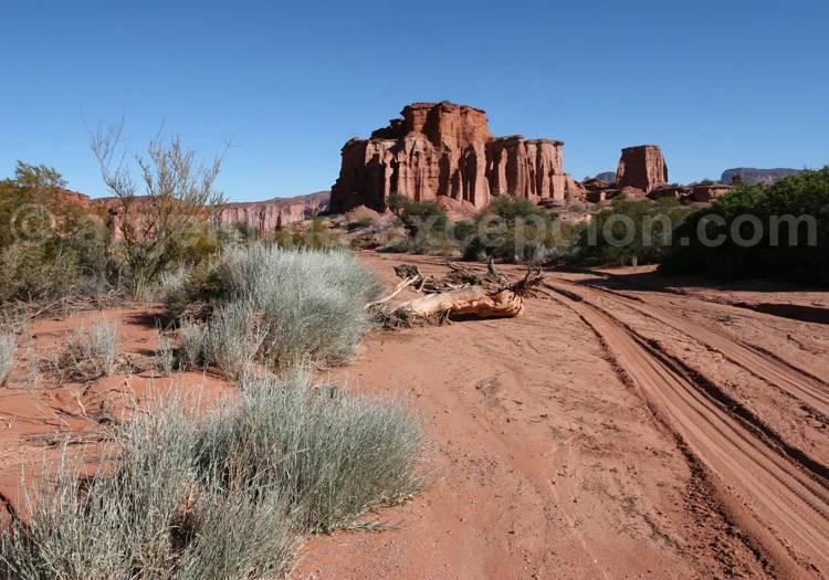 Parcs Talampaya et Ischigualasto patrimoine mondial de l'Unesco Parcs Talampaya et Ischigualasto patrimoine mondial de l'Unesco
